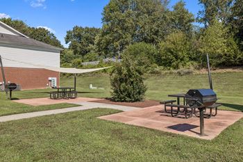 Grilling/picnic area